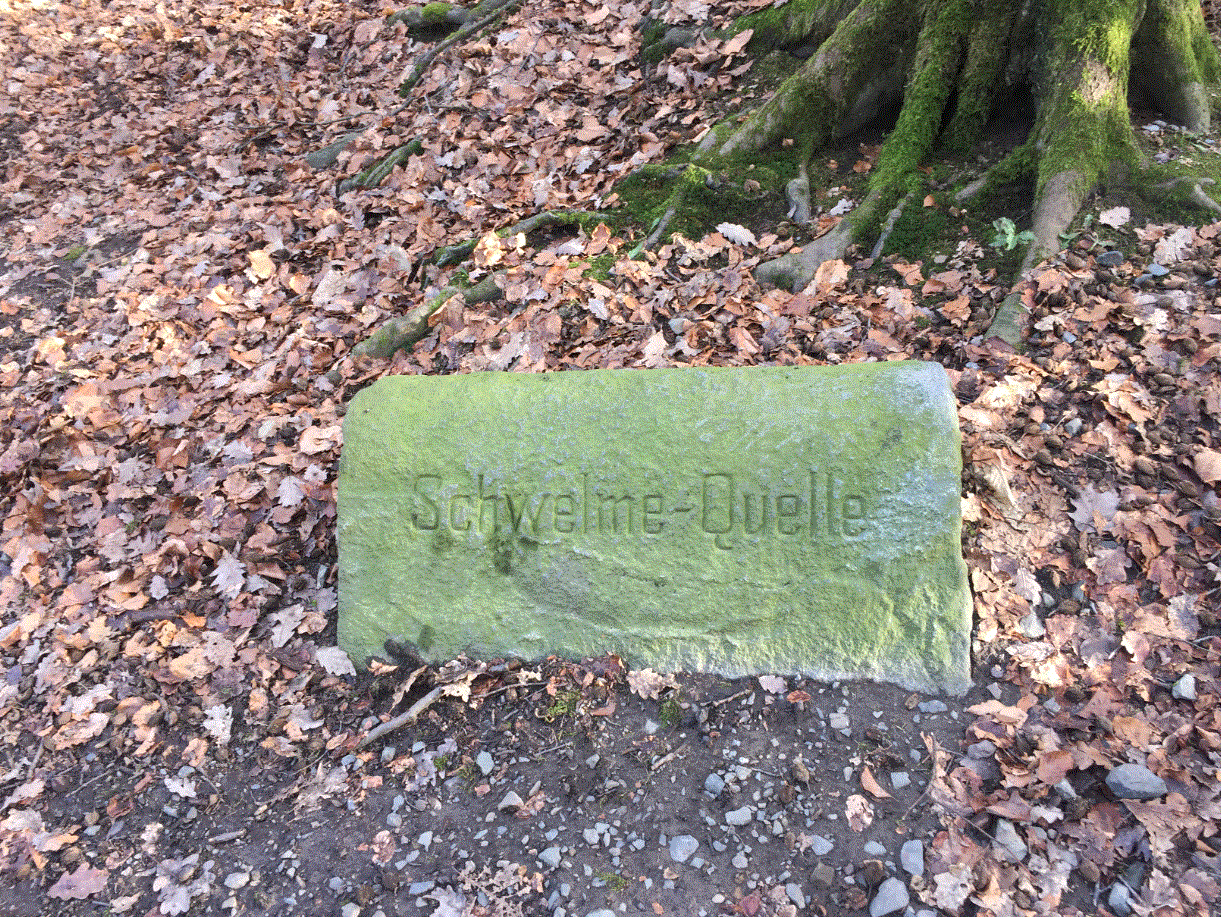 Entrümpelung Haushaltsauflösung Wohnungsauflösung Schwelm